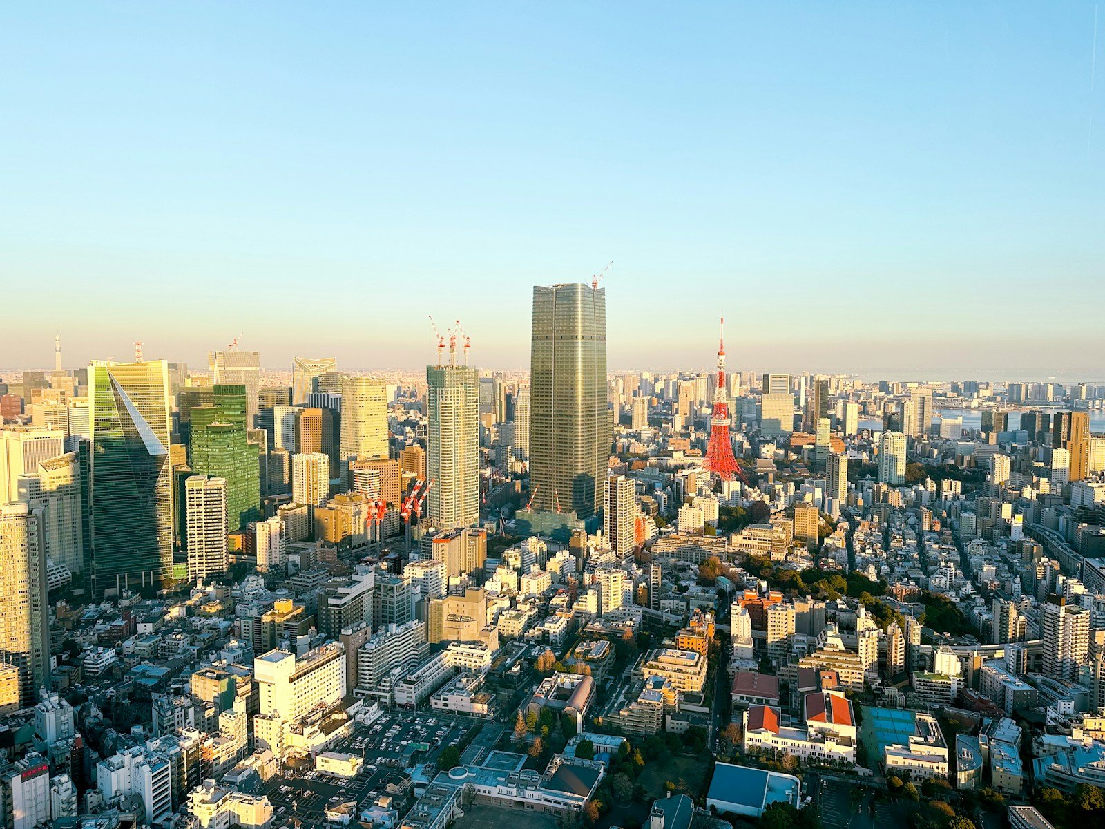 高い所から見た、晴れた日のビル街と赤白の電波塔